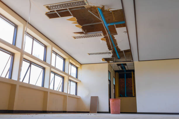 Trusted Shenandoah, VA Water damage restoration Experts