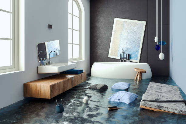 Best Flood damage cleanup  in Shenandoah, VA