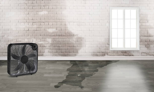 Water damage restoration mold remediation in Shenandoah, VA