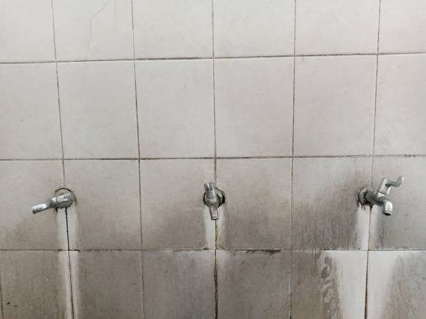 Best Professional water damage repair  in Shenandoah, VA