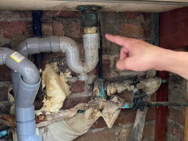 Best Emergency water damage restoration  in Shenandoah, VA