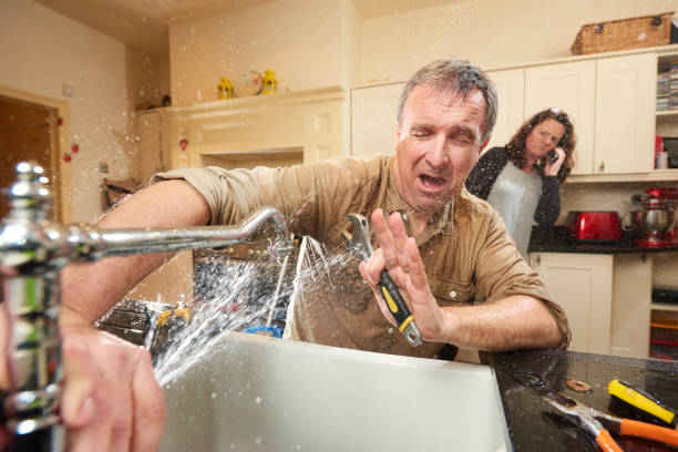 Best Water damage cleanup near me  in Shenandoah, VA